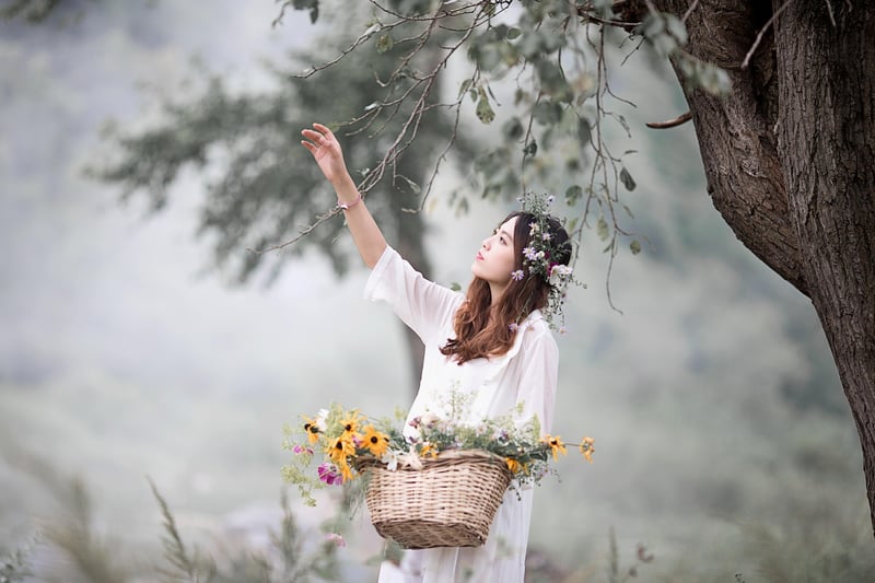 Dreamy Forest Backdrops